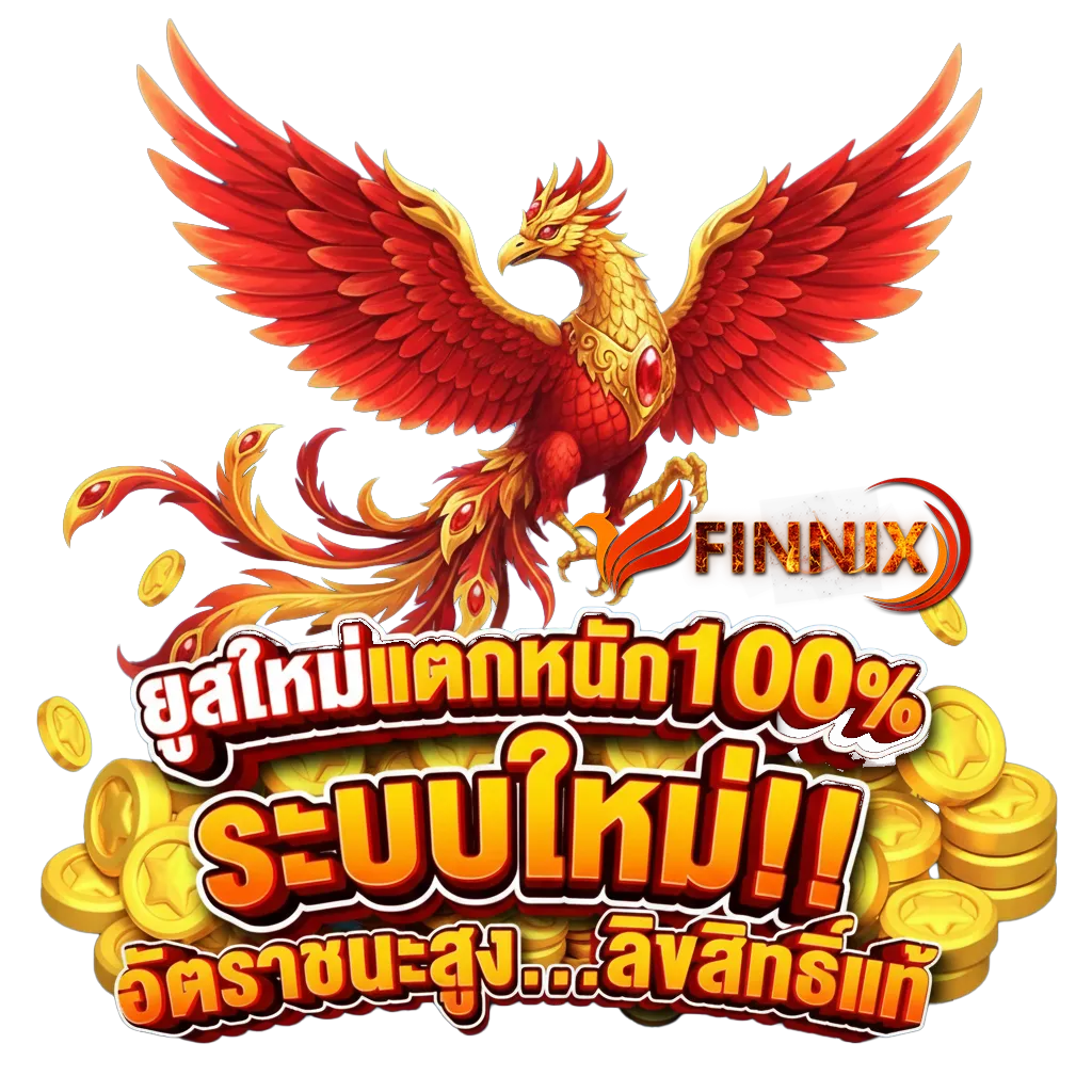 fin nix ทางเข้า